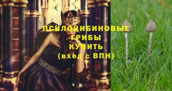 амф Абдулино